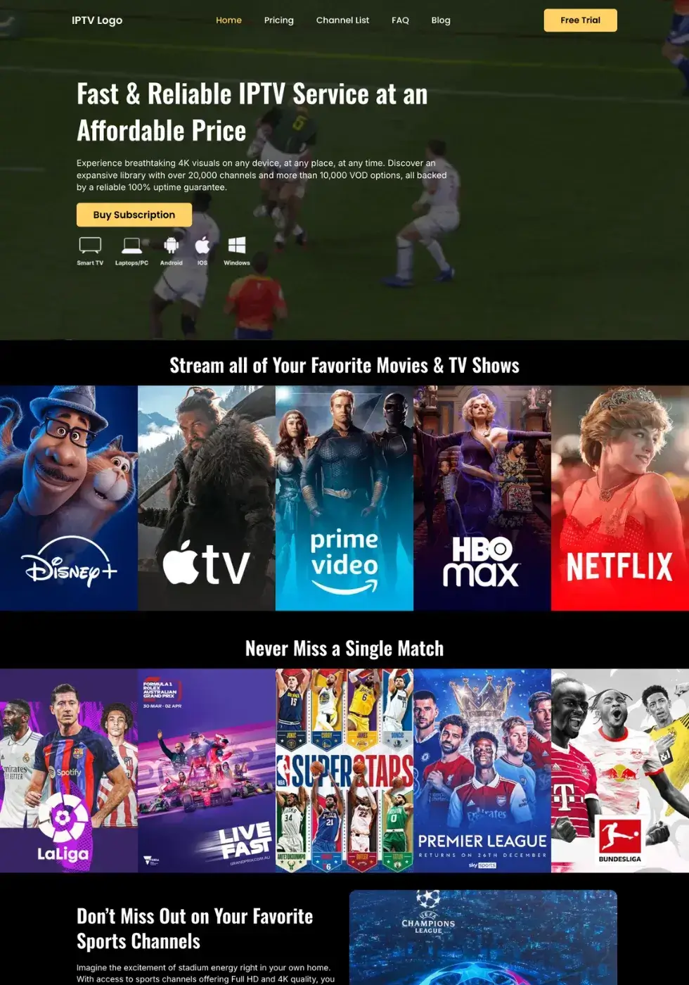 iptv-wordpres-template-2